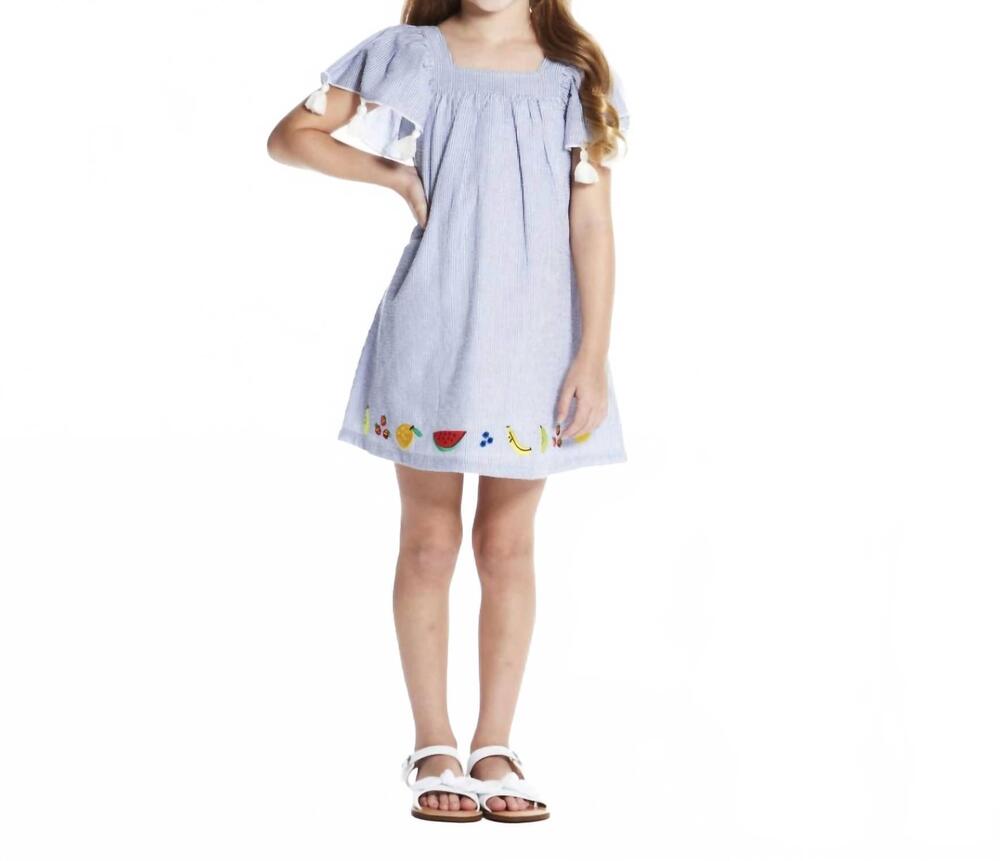 NEW ANDY & EVAN girl's embroidered seersucker dress in blue